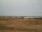 Gambia_Vol2_024