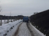 2010Surrey06