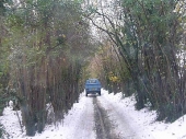 2010Surrey07