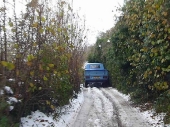 2010Surrey09