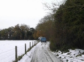 2010Surrey10
