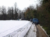 2010Surrey11