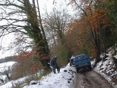 2010Surrey13