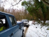 2010Surrey15