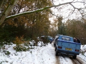 2010Surrey16