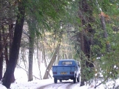 2010Surrey18