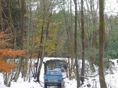 2010Surrey19