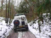 2010Surrey20