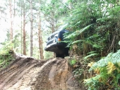 Bordon2011_11