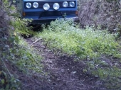 Devon2010_05