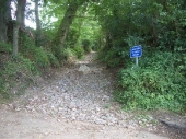 Devon2010_21