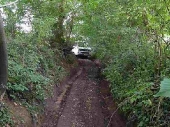 Devon_2011_18