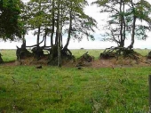 Devon_2011_19
