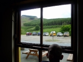 Eire_syncro_009