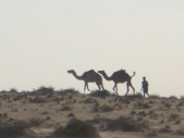 Gambia_journey_0015