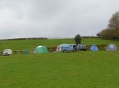 CF_2011_02