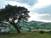 SP2011_009