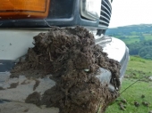SP2011_010